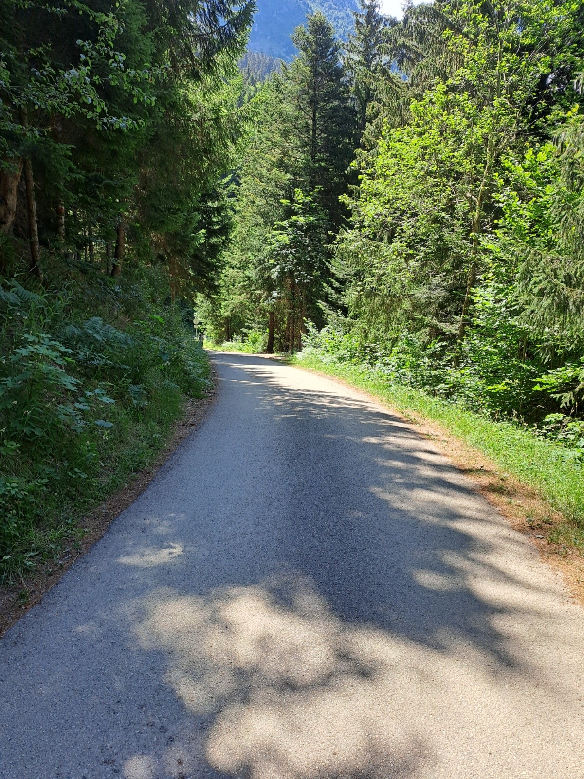 #2 Pas de gravillons sur la route des 4 chemins Pas de gravillons sur la route des 4 chemins
