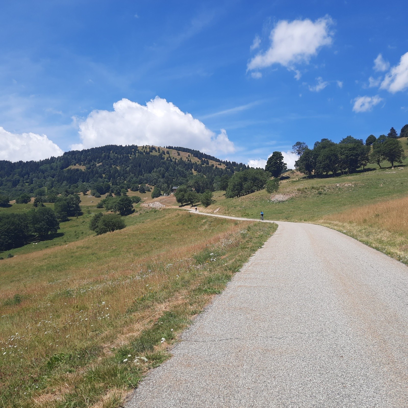 Sous le col