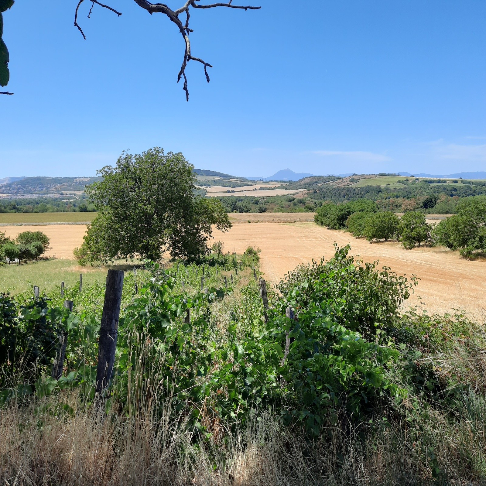 J4 le Puy de Dôme