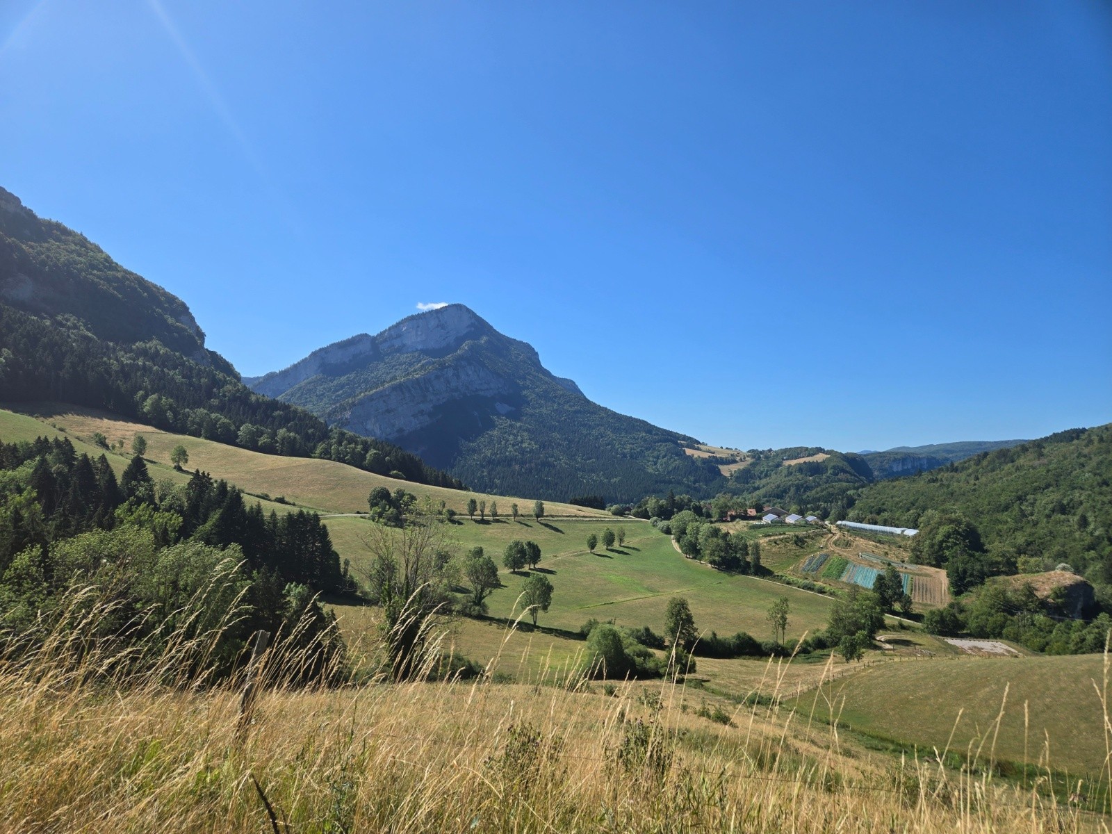 #12