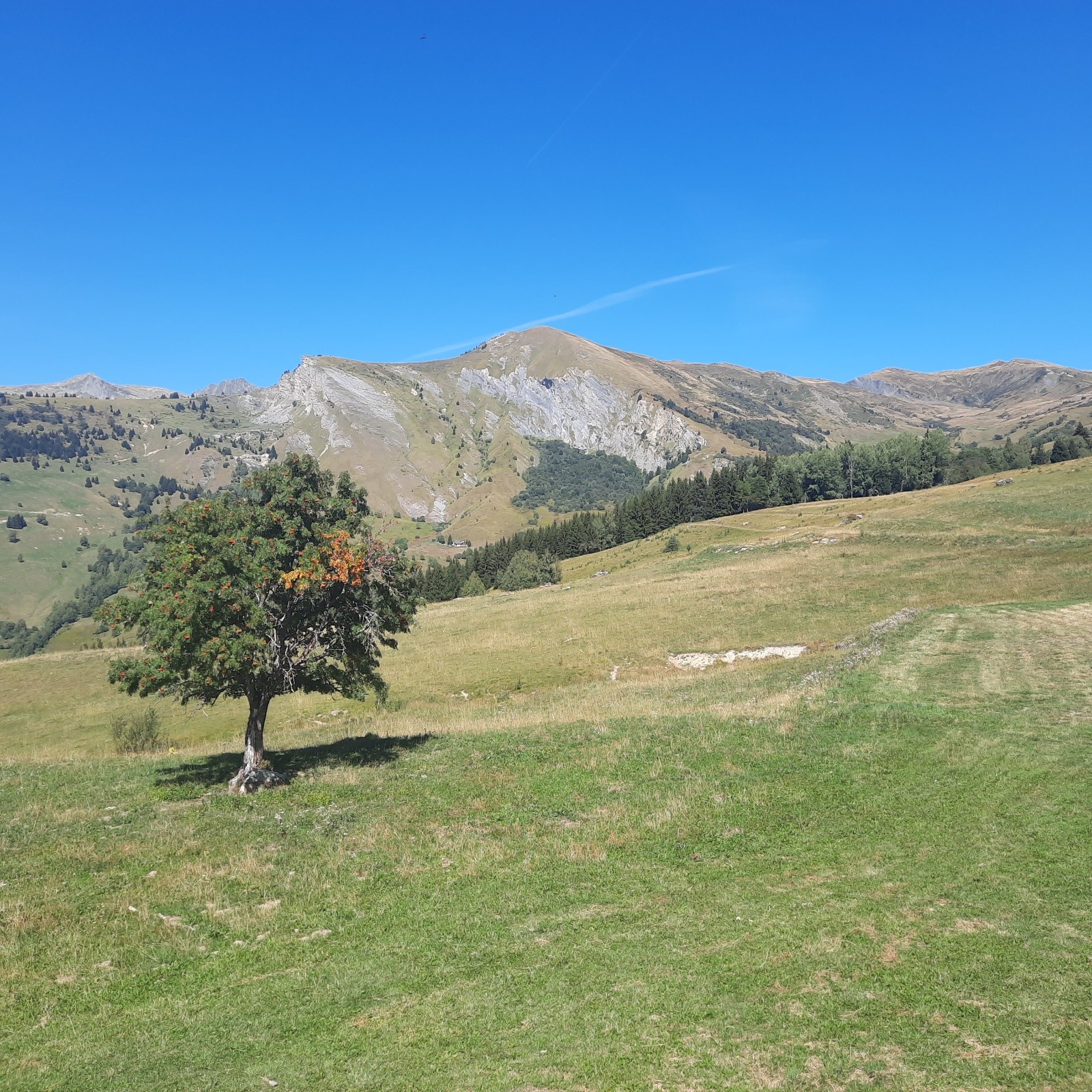 &nbsp;Grand Crêtet&nbsp;