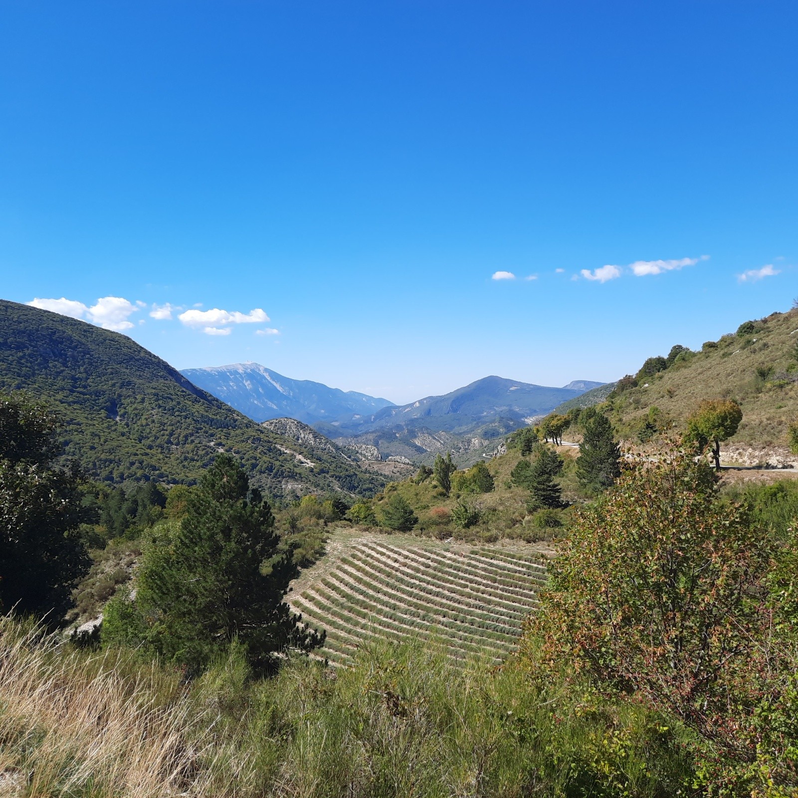 #6 J1, direction le col de l J1, direction le col de l'Homme Mort