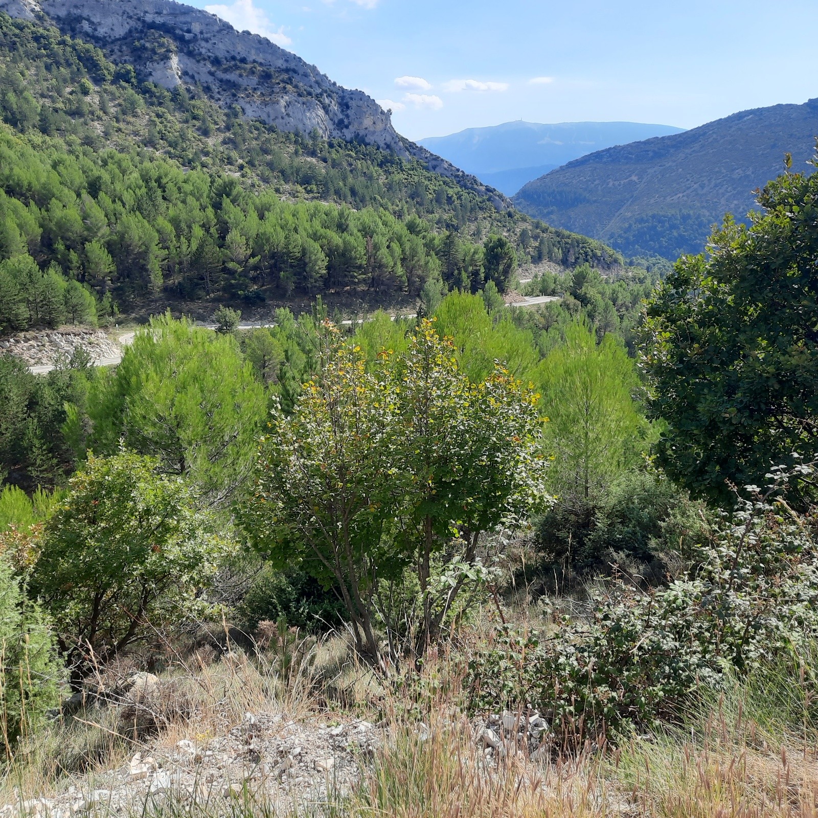 #13 J2 la montée au col d J2 la montée au col d'Ey