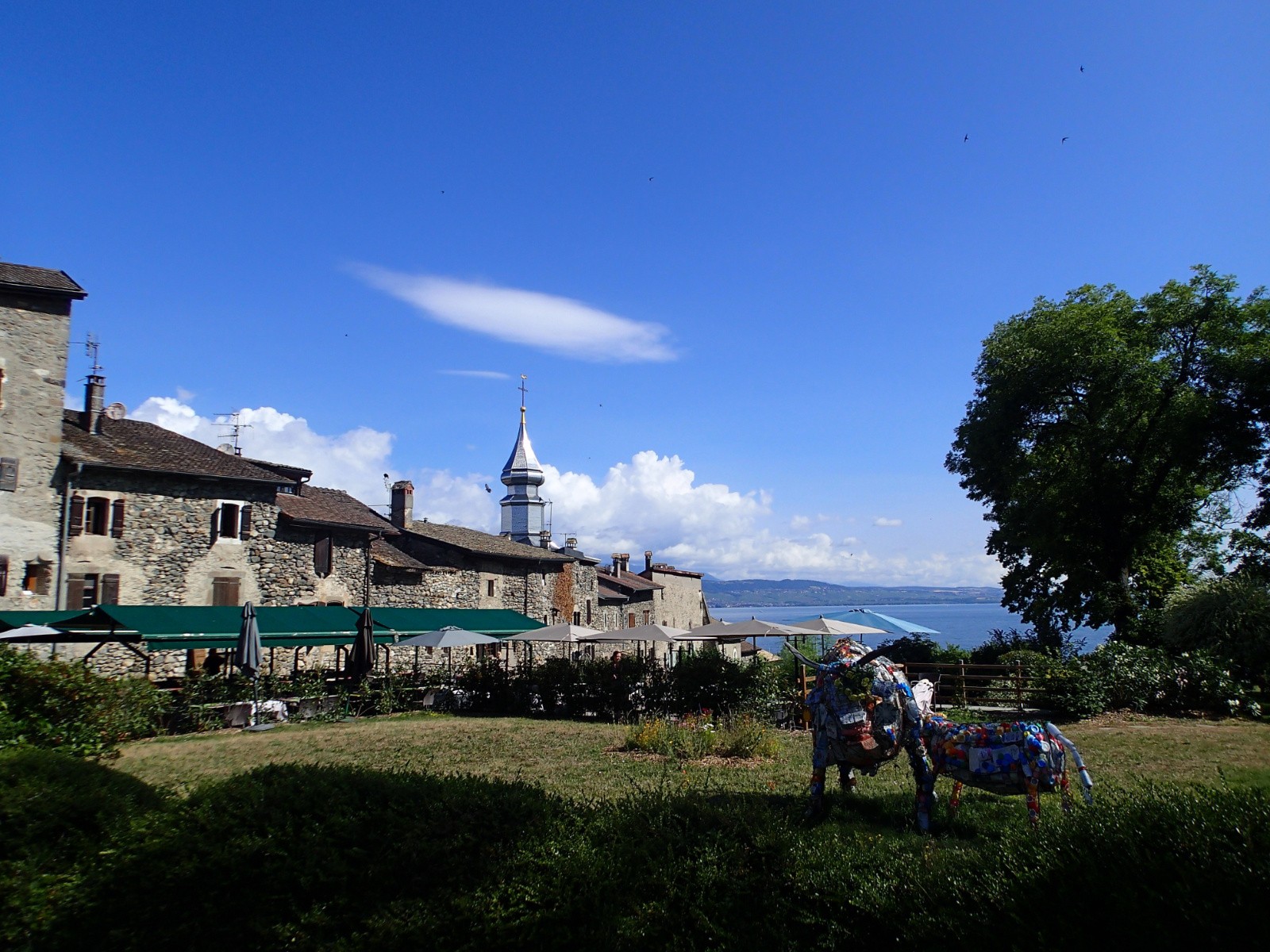 #3 Yvoire, village magnifique au bord du lac ! Yvoire, village magnifique au bord du lac !