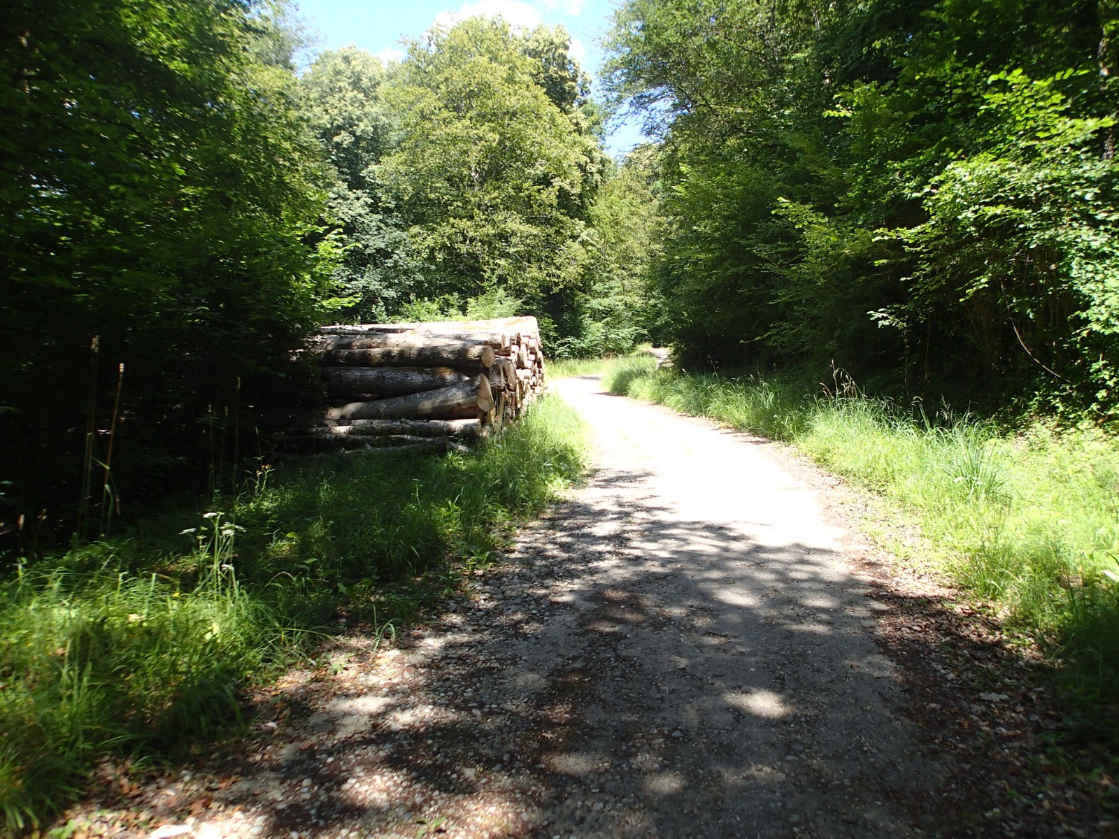 #9 Quelques kms en gravel histoire de corser le truc ! Quelques kms en gravel histoire de corser le truc !