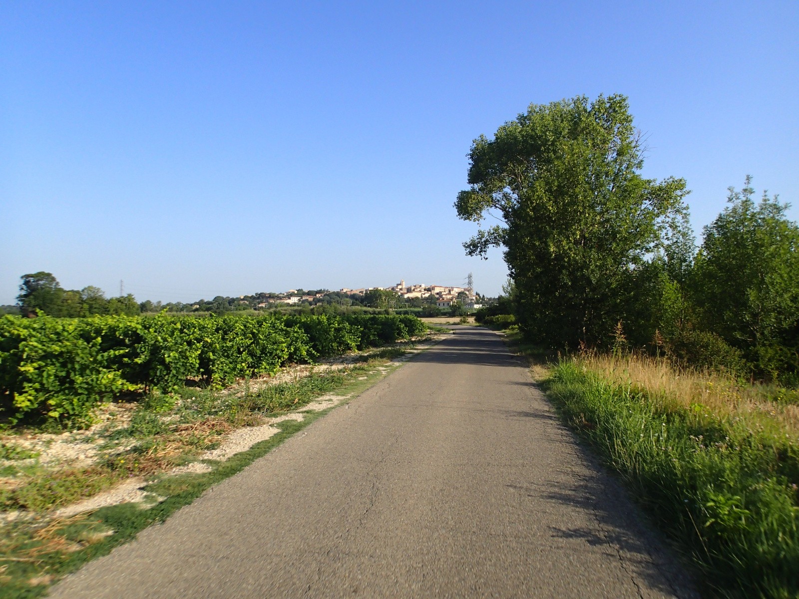 #2 Début de journée en rase campagne, Thézier dans le viseur mais je n Début de journée en rase campagne, Thézier dans le viseur mais je n'y passerai pas...