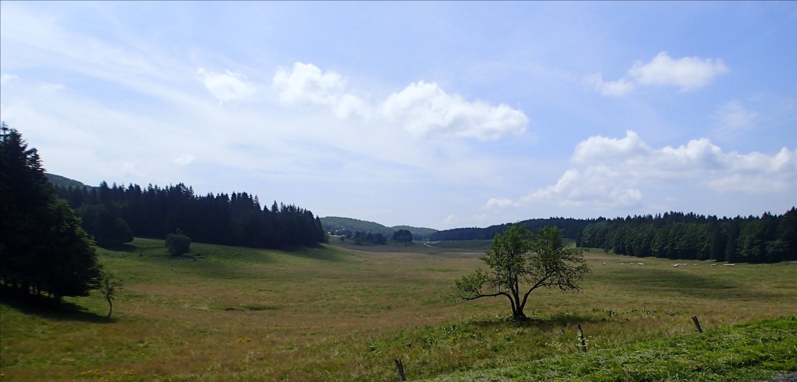 Le Plateau de Retord...
