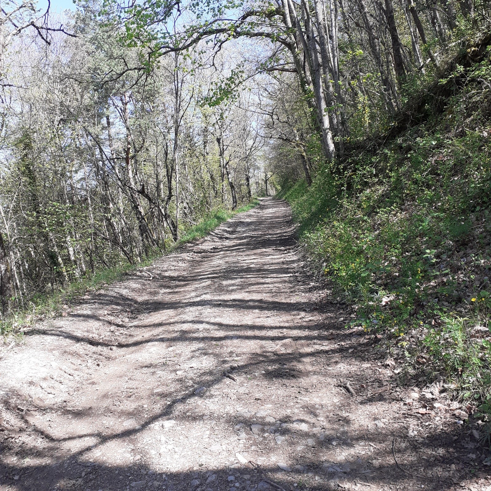 Le crux de la journée, trop raide pour moi pour rester sur la selle.