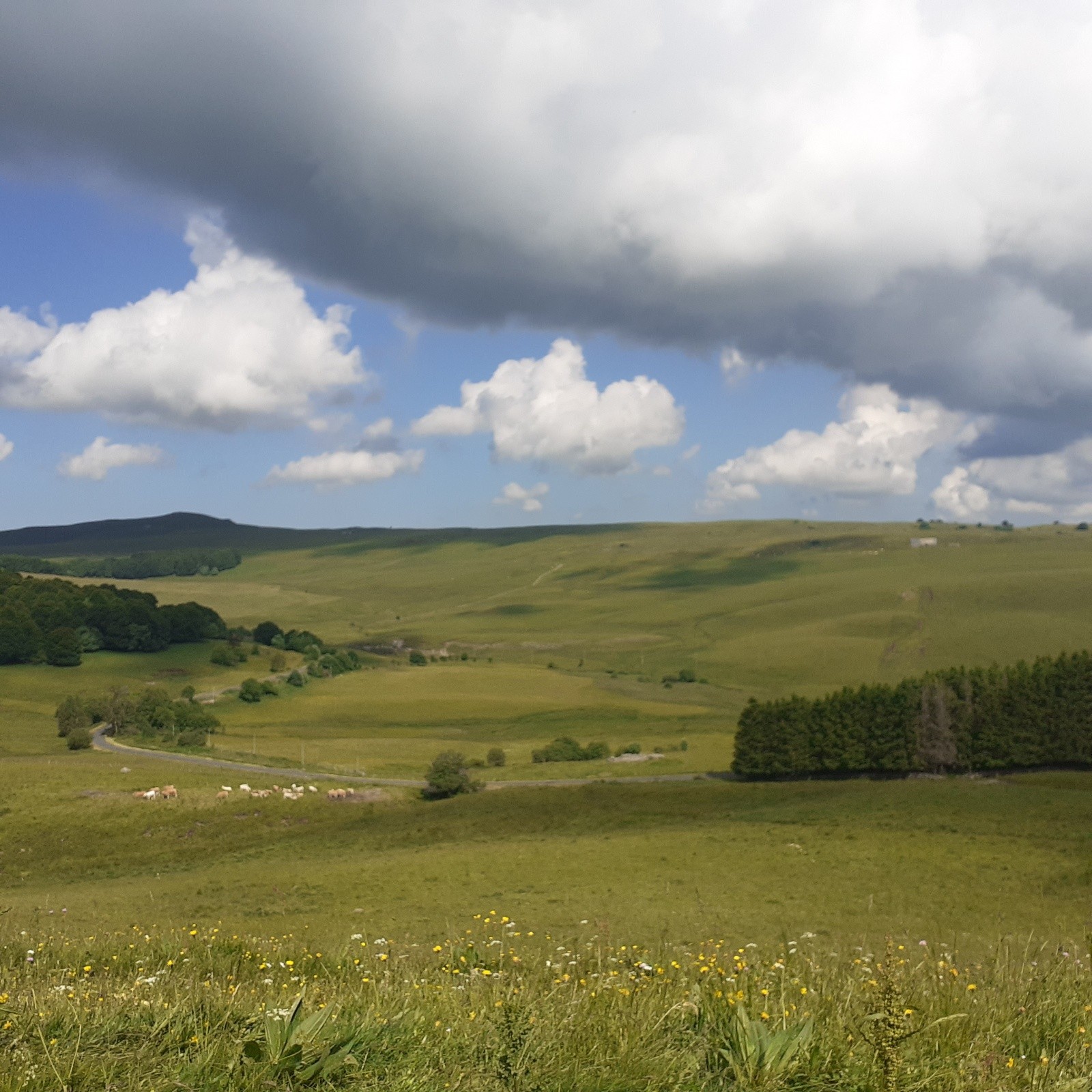 #1 En montant vers le col d En montant vers le col d'Aubrac