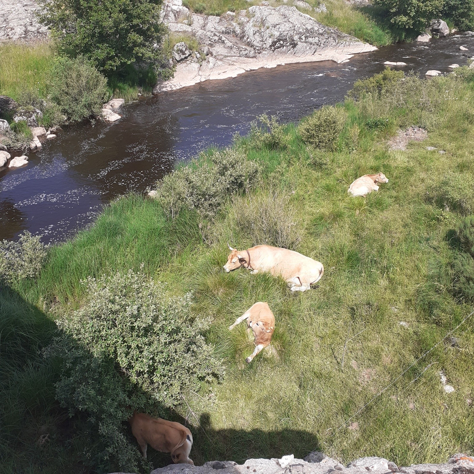 #9 Sieste sous le pont des Gourmiers au bord du Bès Sieste sous le pont des Gourmiers au bord du Bès