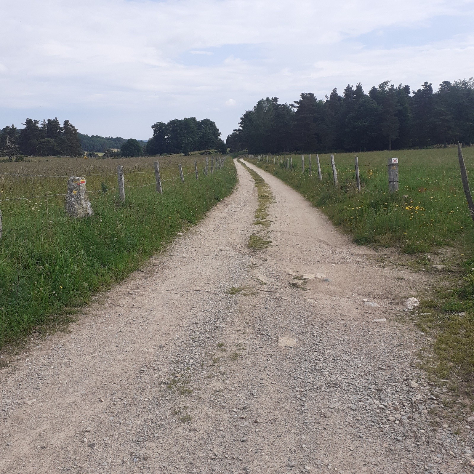 #3 Bonne piste gravel Bonne piste gravel