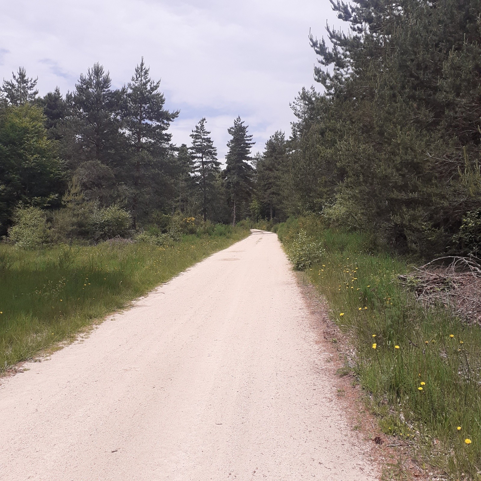 #7 Strade bianche Strade bianche