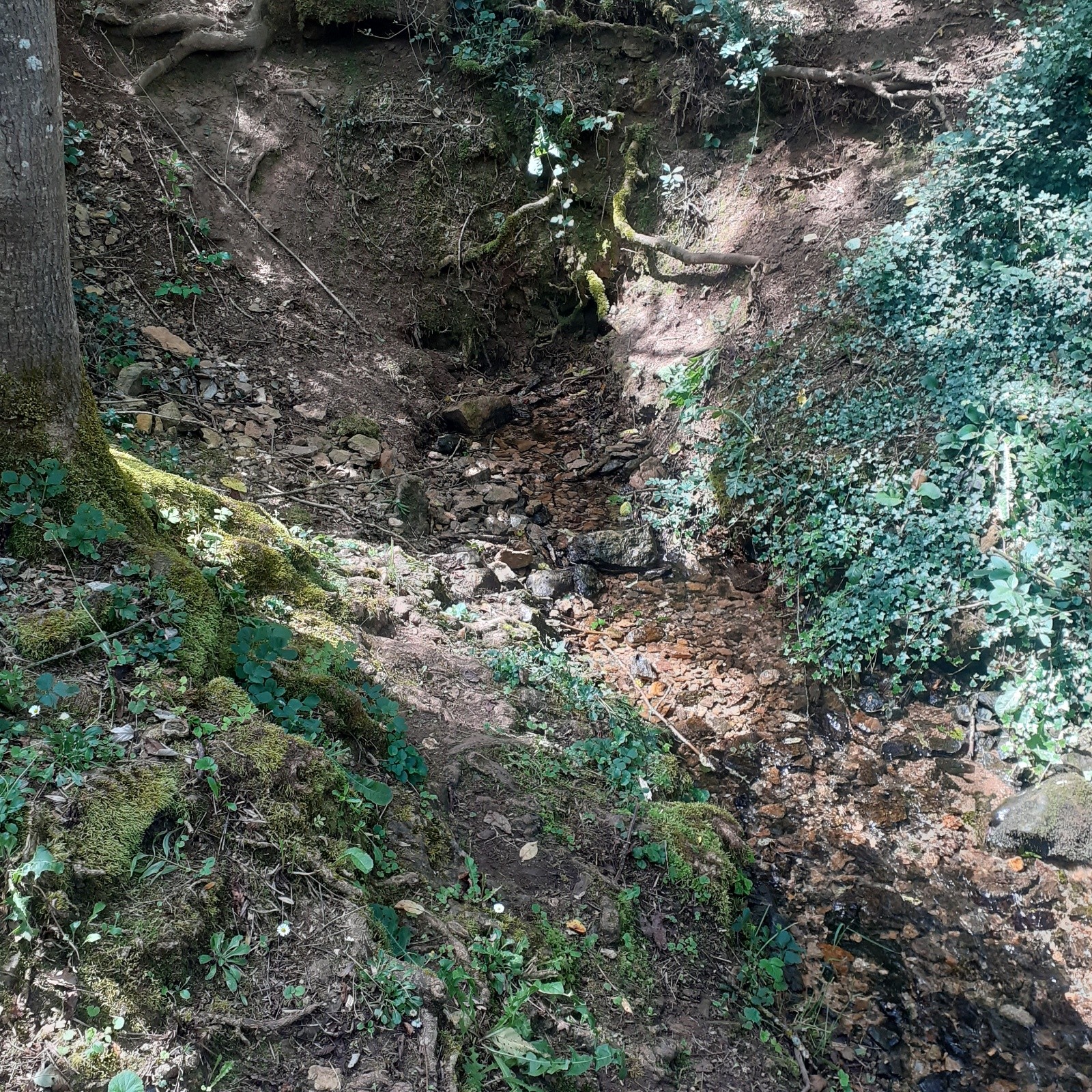 #2 L L'Aveyron à sa source