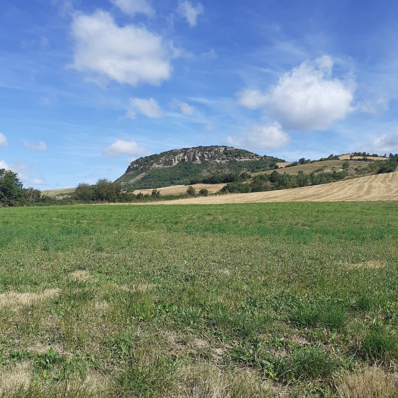 #3 Paysage caussois Paysage caussois
