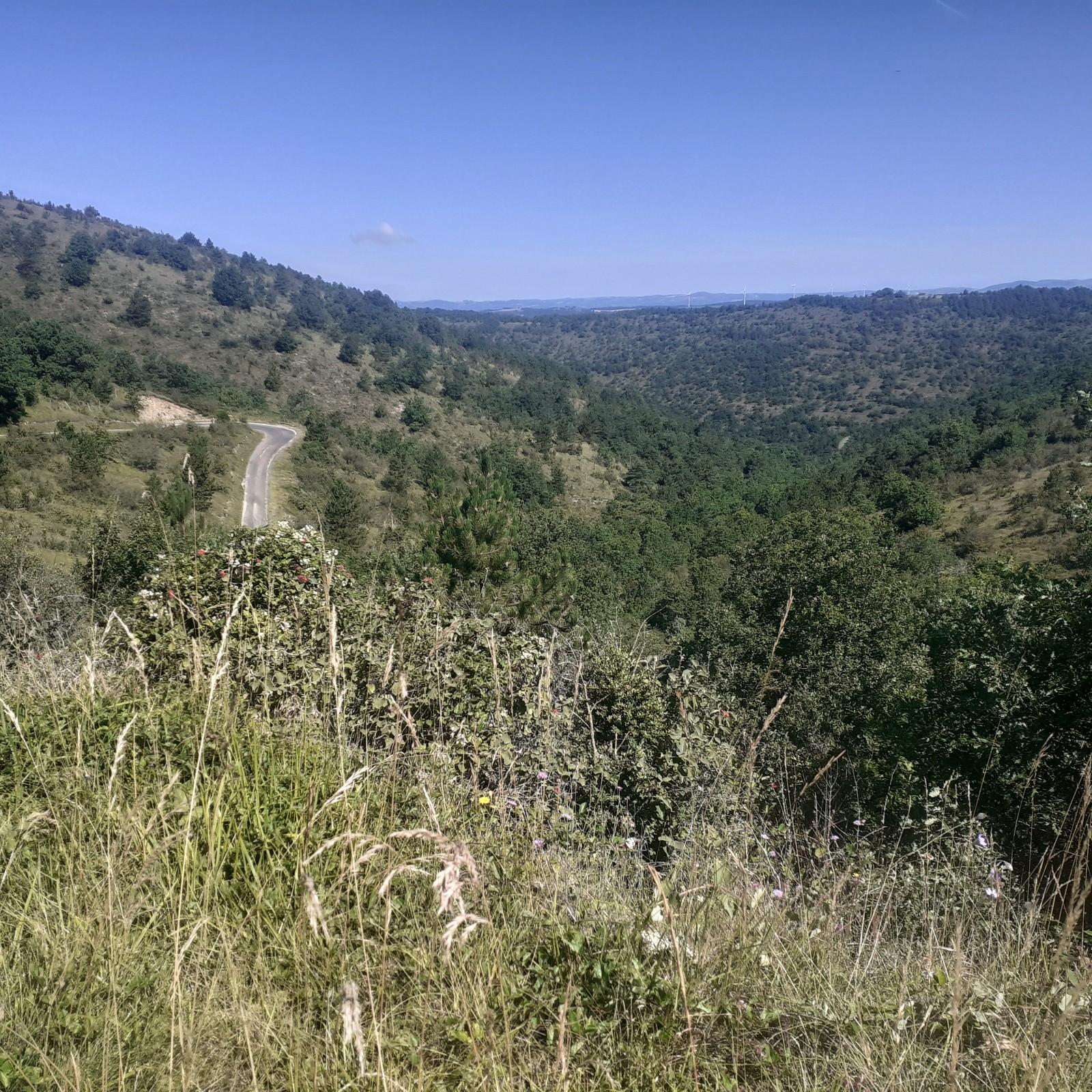 #2 Descente vers Lapeyre Descente vers Lapeyre