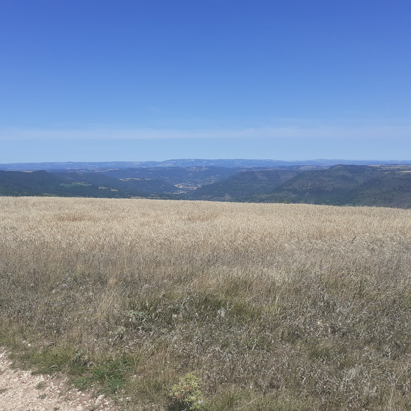#7 Paysage du Rougier Paysage du Rougier