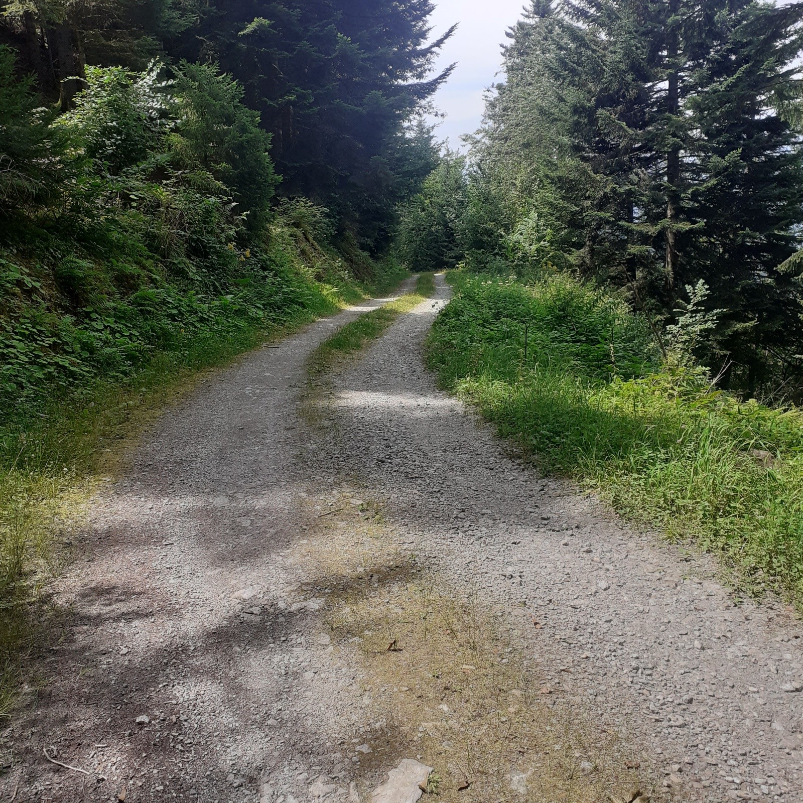 #2 La portion gravel pour rejoindre les Hurtières La portion gravel pour rejoindre les Hurtières