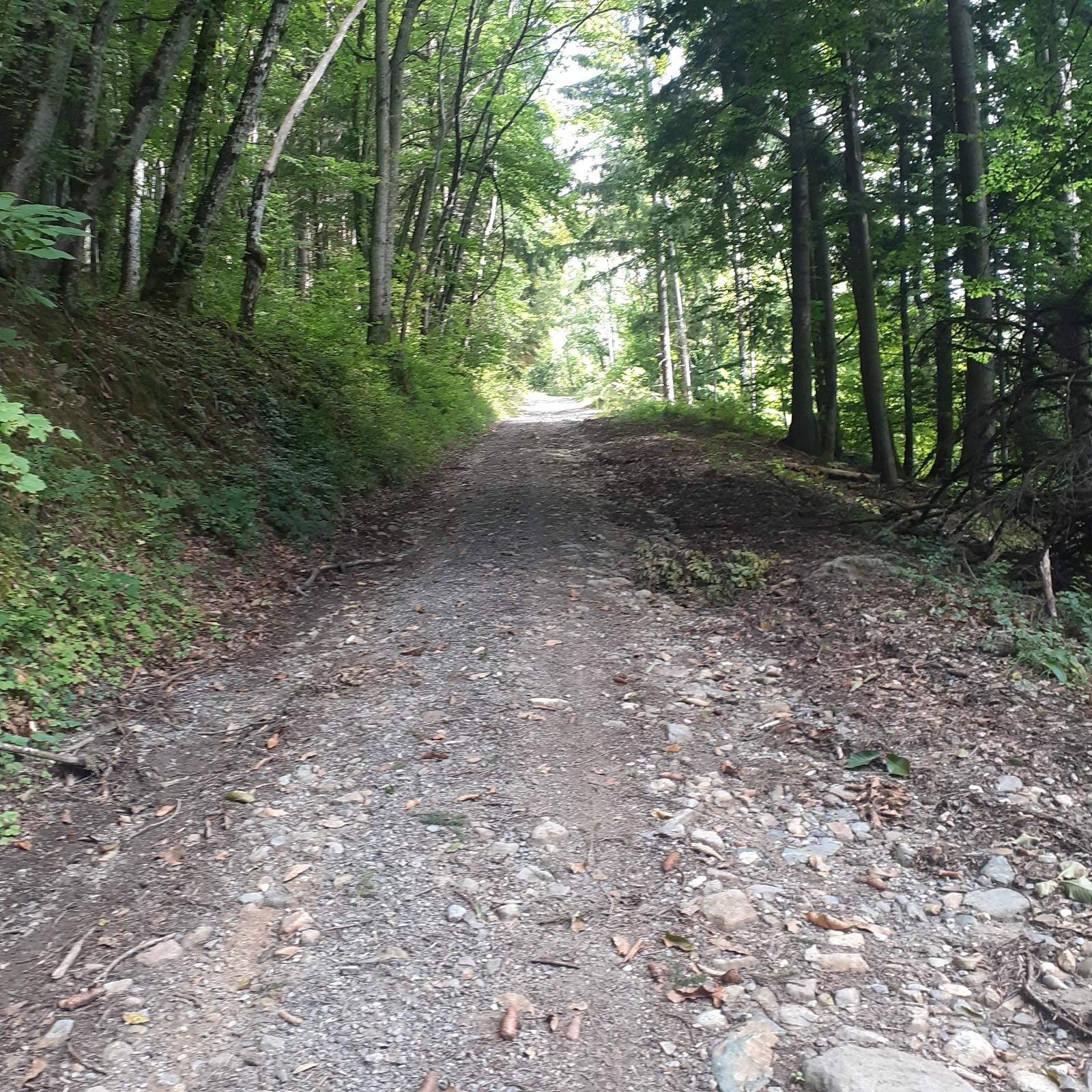#1 Après le Replat, impossible de rouler avec le vélo de route, gravel recommandé Après le Replat, impossible de rouler avec le vélo de route, gravel recommandé